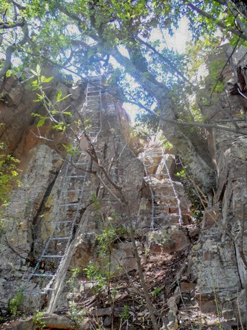 Bushbuck hills chainladder